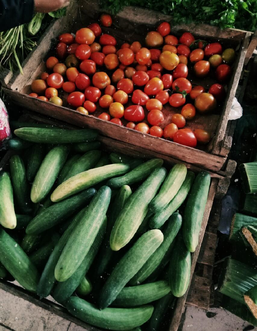 farm fresh produce